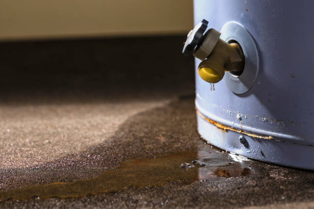 Best Emergency water damage restoration  in Danville, IN