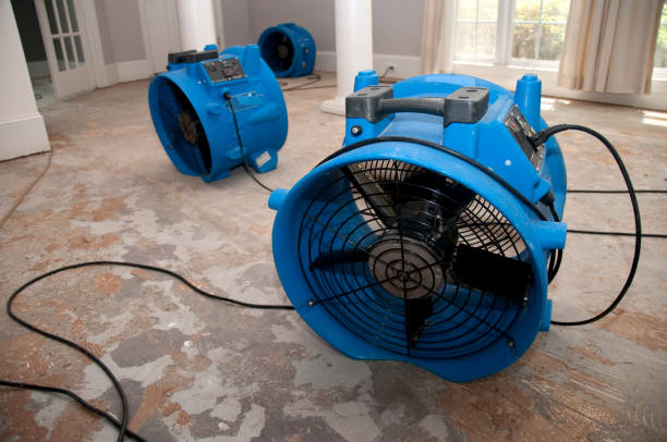 Best Flooded house restoration  in Danville, IN