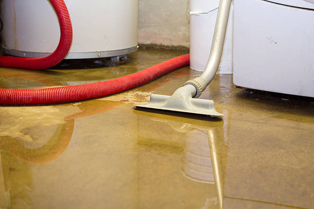 Best Water damage contractors near me  in Danville, IN