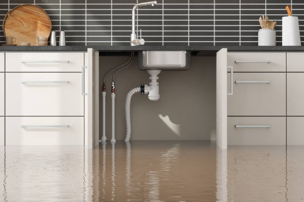 Best Water damage cleanup near me  in Danville, IN