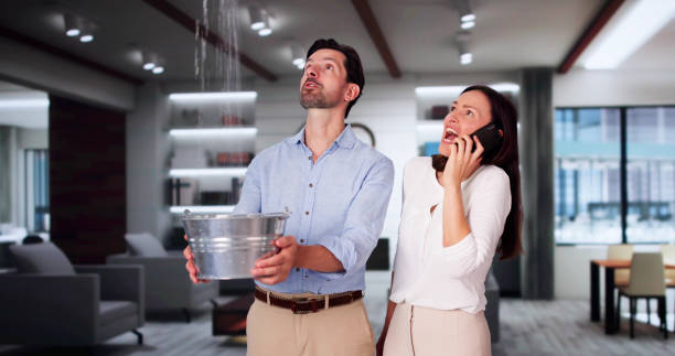 Best Professional water damage repair  in Danville, IN